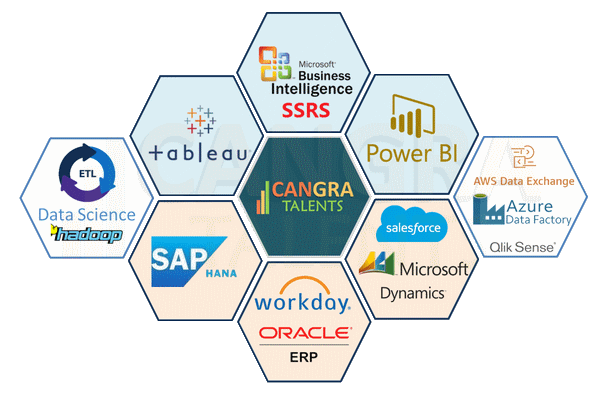 Interviews in BI, SAP and ERP Tools